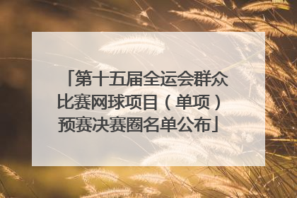第十五届全运会群众比赛网球项目（单项）预赛决赛圈名单公布
