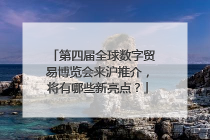 第四届全球数字贸易博览会来沪推介，将有哪些新亮点？