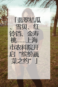 翡翠桔瓜、雪贝、红铃铛、金寿桃……上海市农科院开启“缤纷蔬菜之约”