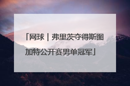 网球｜弗里茨夺得斯图加特公开赛男单冠军
