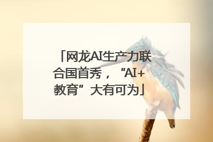 网龙AI生产力联合国首秀，“AI+教育”大有可为