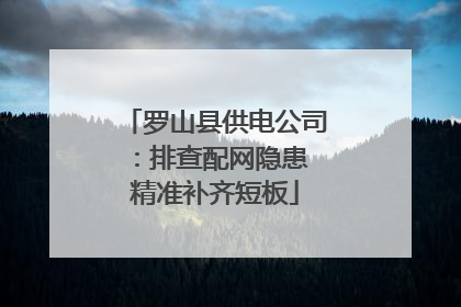 罗山县供电公司：排查配网隐患 精准补齐短板