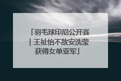 羽毛球印尼公开赛｜王祉怡不敌安洗莹 获得女单亚军