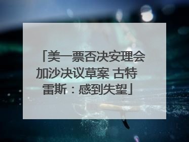 美一票否决安理会加沙决议草案 古特雷斯：感到失望