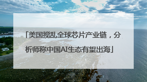 美国搅乱全球芯片产业链，分析师称中国AI生态有望出海