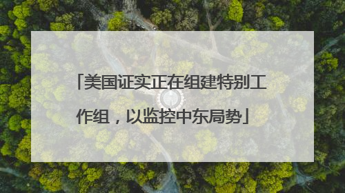 美国证实正在组建特别工作组，以监控中东局势