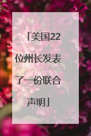 美国22位州长发表了一份联合声明