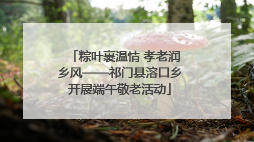 粽叶裹温情 孝老润乡风——祁门县溶口乡开展端午敬老活动