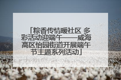 粽香传情暖社区 多彩活动迎端午——威海高区怡园街道开展端午节主题系列活动