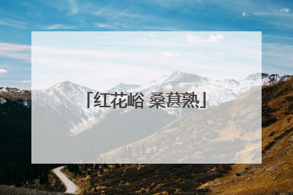 红花峪 桑葚熟