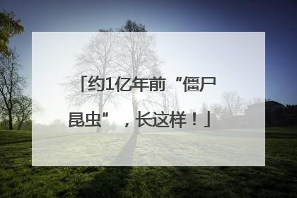 约1亿年前“僵尸昆虫”，长这样！