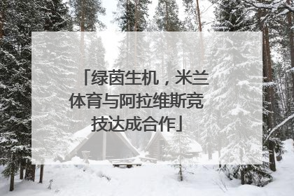 绿茵生机，米兰体育与阿拉维斯竞技达成合作