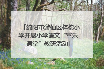 绵阳市游仙区梓棉小学开展小学语文“富乐课堂”教研活动