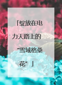 绽放在电力天路上的“雪域格桑花”