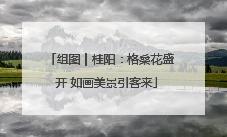 组图｜桂阳：格桑花盛开 如画美景引客来