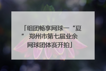 组团畅享网球一“夏” 郑州市第七届业余网球团体赛开拍