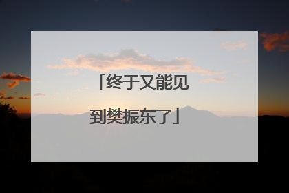 终于又能见到樊振东了