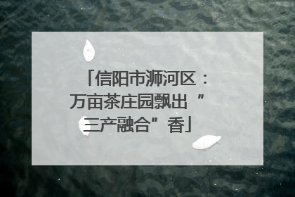 信阳市浉河区：万亩茶庄园飘出“三产融合”香