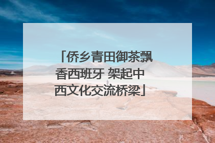 侨乡青田御茶飘香西班牙 架起中西文化交流桥梁