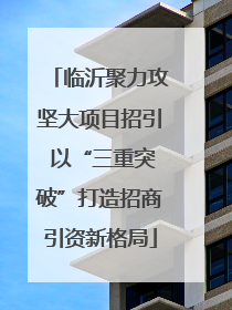 临沂聚力攻坚大项目招引 以“三重突破”打造招商引资新格局