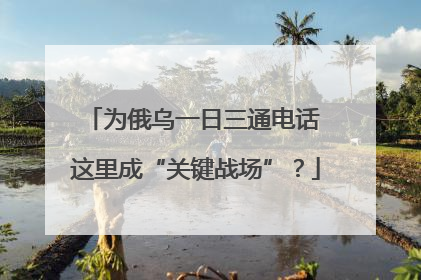 为俄乌一日三通电话 这里成“关键战场”？