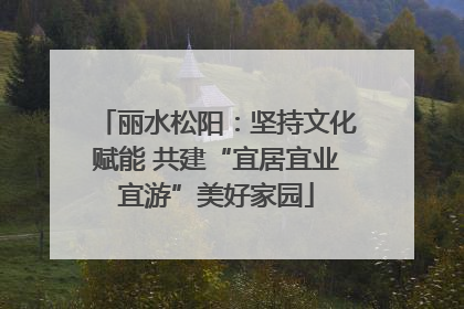 丽水松阳：坚持文化赋能 共建“宜居宜业宜游”美好家园