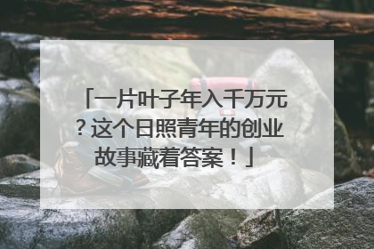 一片叶子年入千万元？这个日照青年的创业故事藏着答案！