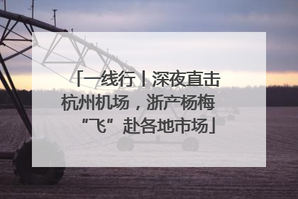 一线行丨深夜直击杭州机场，浙产杨梅“飞”赴各地市场