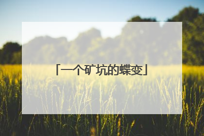 一个矿坑的蝶变