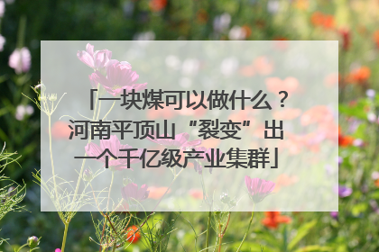 一块煤可以做什么？河南平顶山“裂变”出一个千亿级产业集群