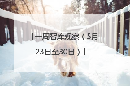 一周智库观察（5月23日至30日）