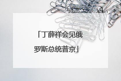 丁薛祥会见俄罗斯总统普京