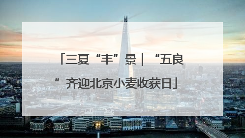 三夏“丰”景｜“五良”齐迎北京小麦收获日