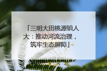 三明大田桃源镇人大：推动河流治理，筑牢生态屏障