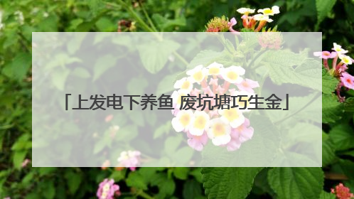 上发电下养鱼 废坑塘巧生金
