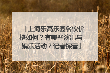 上海乐高乐园餐饮价格如何？有哪些演出与娱乐活动？记者探营