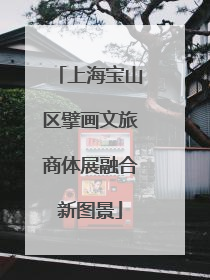 上海宝山区擘画文旅商体展融合新图景