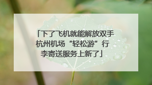 下了飞机就能解放双手 杭州机场“轻松游”行李寄送服务上新了