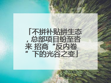 不拼补贴拼生态，总部项目纷至沓来 招商“反内卷”下的光谷之变