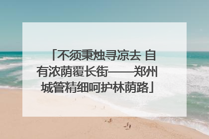 不须秉烛寻凉去 自有浓荫覆长街——郑州城管精细呵护林荫路