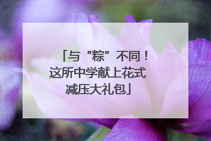 与“粽”不同！这所中学献上花式减压大礼包