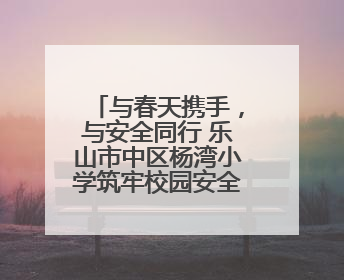 与春天携手，与安全同行 乐山市中区杨湾小学筑牢校园安全防线