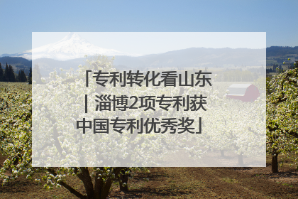 专利转化看山东｜淄博2项专利获中国专利优秀奖