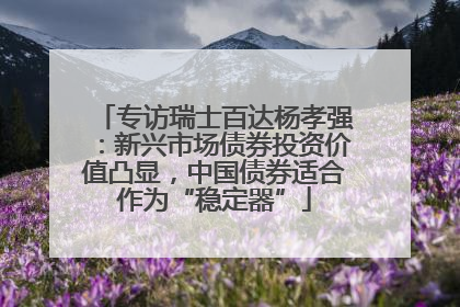 专访瑞士百达杨孝强：新兴市场债券投资价值凸显，中国债券适合作为“稳定器”