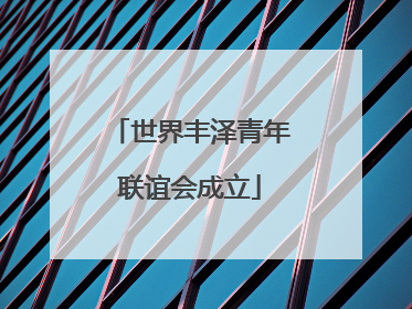 世界丰泽青年联谊会成立