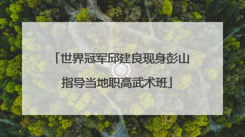 世界冠军邱建良现身彭山 指导当地职高武术班