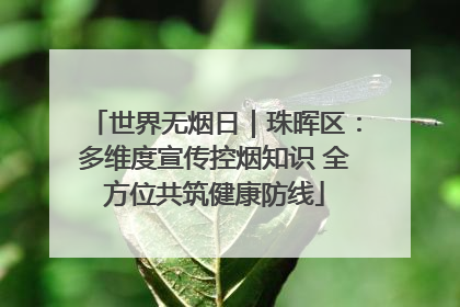 世界无烟日｜珠晖区：多维度宣传控烟知识 全方位共筑健康防线