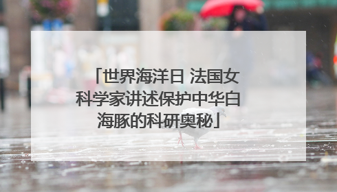 世界海洋日 法国女科学家讲述保护中华白海豚的科研奥秘