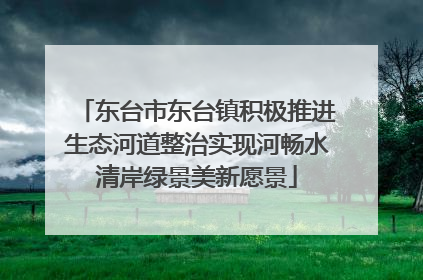 东台市东台镇积极推进生态河道整治实现河畅水清岸绿景美新愿景