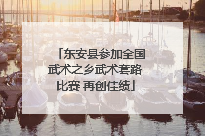东安县参加全国武术之乡武术套路比赛 再创佳绩